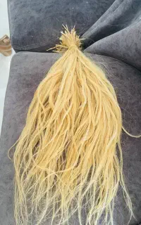 موی طبیعی