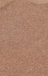 فروش گندم مهرگان