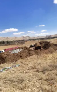 فروش کود گوسفندی