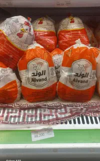 مرغ تازه ۲۹۰