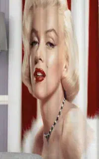 پارچه چاپی مرلین مونرو پانچ نو نو