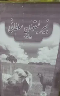 پنیرییلاق گوسفندی لیقوان