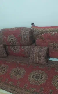سرویس شاهنشین