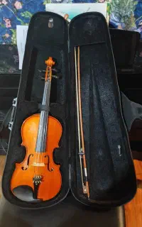 ویولا / Viola