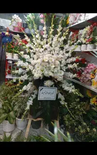 گلفروشی ..طبیعی