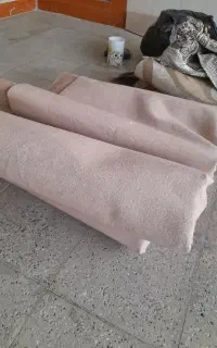 موکت۱۲متری