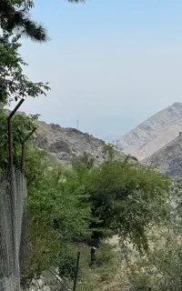 تور کافه گردی