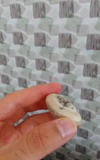 سنگ عتیقه