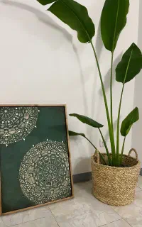 تابلو دکوراتیو