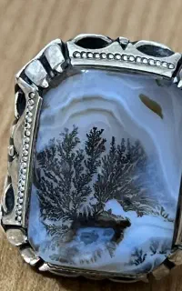 انگشتر شجر