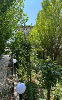 کارگر نیمه وقت برای باغبانی