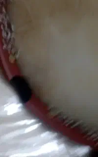 دف  سما