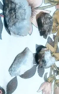 شهاب سنگ قمری و کمیاب٪