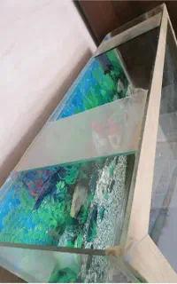 آکواریوم بزرگ