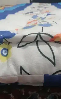 تشک مهمان