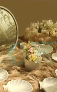 هفت سین طرح صدف