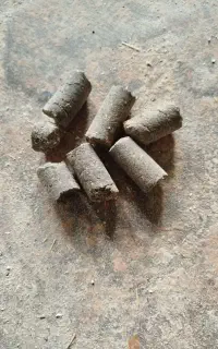 تفاله فشنگی چغندر
