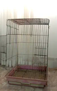 قفس پرنده