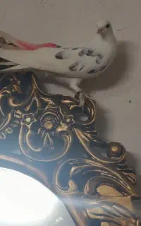 کبوتر آس