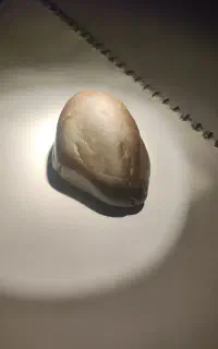 کربنادو اینگما
