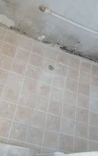 رنگ نقاشی گچکاری و تعمیرات ساختمان