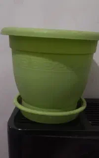در حد نو