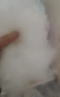 بالشت
