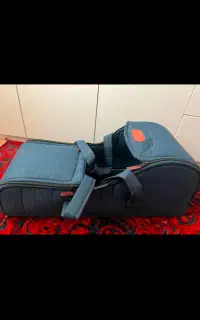 کریکات نوزاد