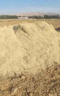 کاه لوبیا چیتی