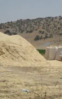 کاه نگو طلا بگو
