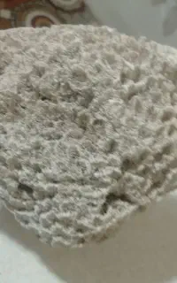 فسیل و سنگ آکواریوم