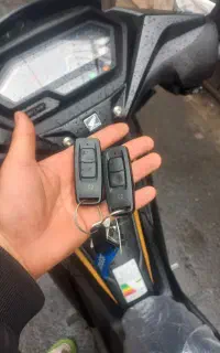 وینر مشکی شال طلا