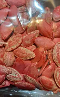 بذر کدو T19 اصل ،بذر آفتابگردان درجه یک