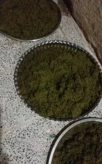 سبزی خورشتی