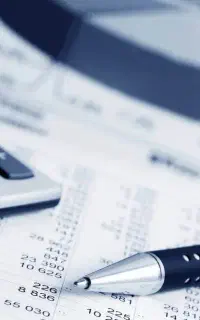 ارائه خدمات حسابداری و مالی
