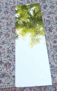 آینه 19 سانت در 59 سانت