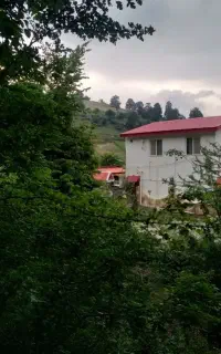 اجاره ویلای جنگلی باچشم انداز عالی