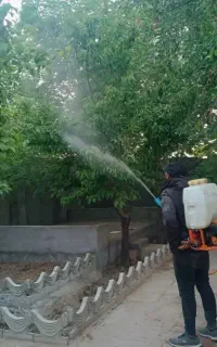سمپاشی، باغبانی، کاشت درخت، گل وچمن