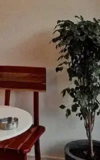 همکار با شاگرد