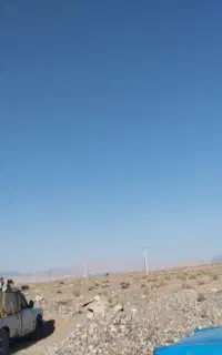 کود مرغ آماده تحویل سایپایی