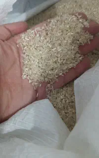 خریدار لاشه شما