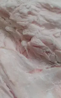 چربی گوساله گاومیش ۲۵۰