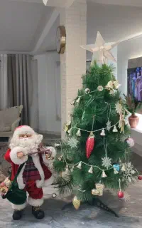 اکسسوری
