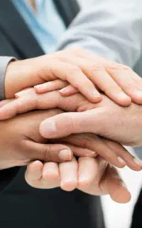 سرمایه گذار ، سهام ، سود ، مشارکت