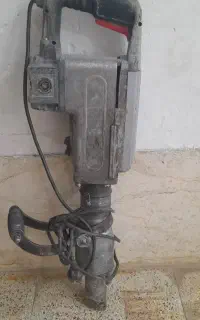 پیکور 19 کلیویی گیریسی