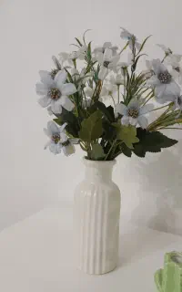 گلدان و دو بوته گل