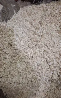 پوشال‌چوب