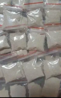 پودرشپش تضمینی در گشویی