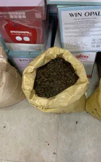 تخمه