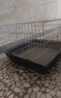 قفس حیوان نو